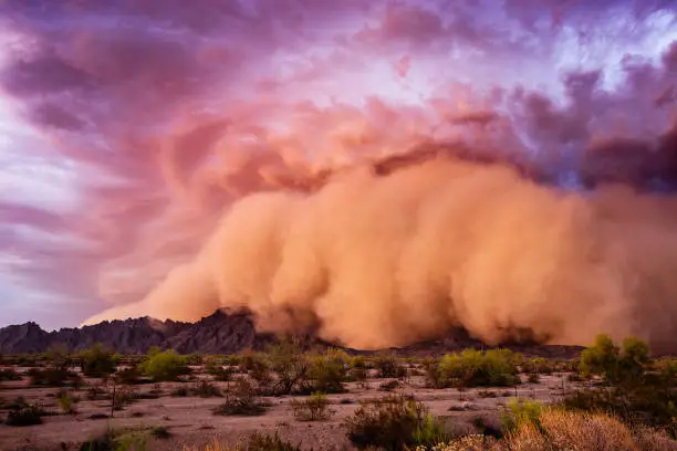 Dust storm (Haboob) with dramatic clouds and sky at sunset in the Arizona desert.