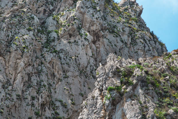 istock Close up on rocks on Capri island coast. Italy. 1137443888