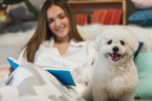 istock Girl reading in bed, dog looking at camera 1137444397