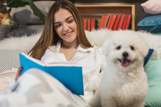 istock Girl reading in bed, dog looking at camera 1137444402