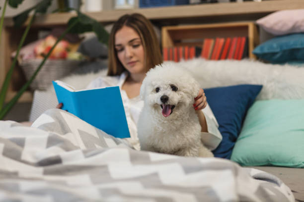 istock Girl reading in bed, cuddling her dog 1137444403
