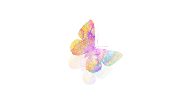 istock watercolor butterfly. tropical insect for design. isolated on white background 1137444645