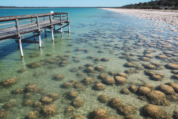 Smooth stones with algae in shallows are visible through the transparent water. Calm wavy surface of the water.