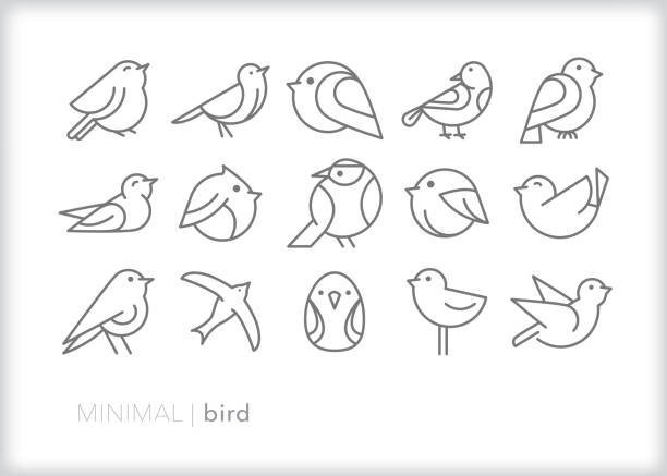 ilustraciones, imágenes clip art, dibujos animados e iconos de stock de iconos de línea de pájaro abstractos - wren