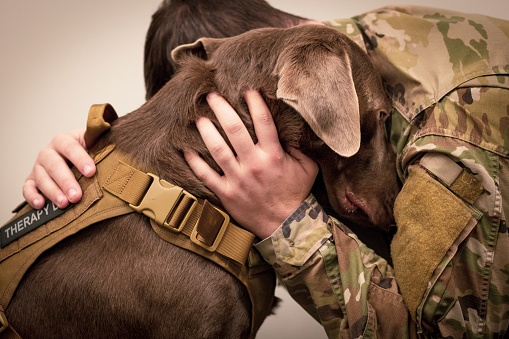 Soldier Hugs Dog
