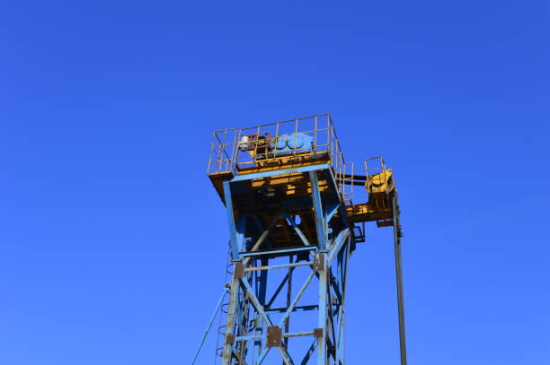 Crane in close up