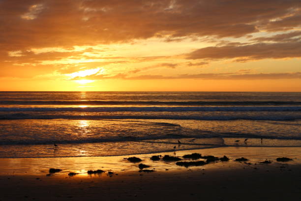 istock Brilliant sunset on the California coastline. 1137449738