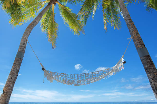 istock Tropical Beach Holiday Copy Space Scene 1137458301