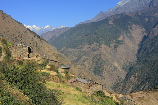 Thuman is a village in Rasuwa District in the north of Nepal. The altitude of the village is 2390m.