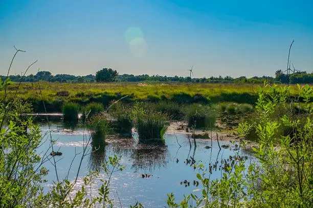 Picture shows a landscape view at a bog in Germany.
