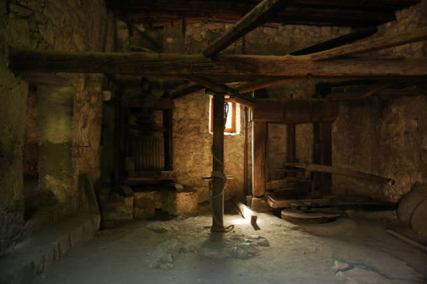 istock Authentic Rustic Barn in Trsteno Arboretum, Croatia 1137462227