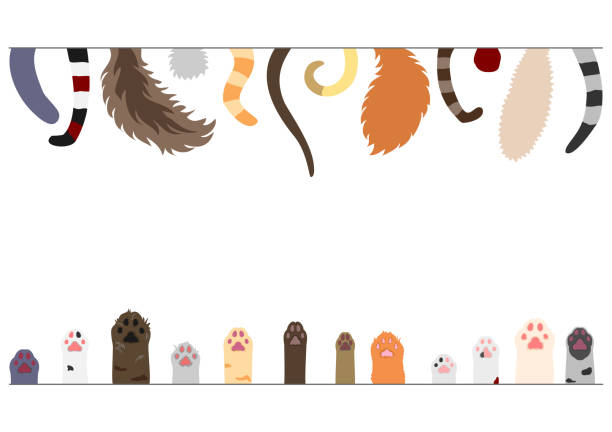 121,184 Animal Tail Illustrations & Clip Art - iStock | Animal tail vector 121,184 Animal Tail Illustrations & Clip Art - iStock | Animal tail vector