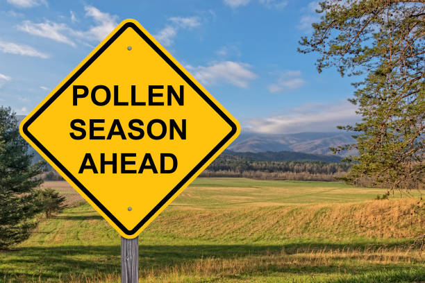 istock Pollen Season Ahead Caution Sign With Springtime Background 1137465407