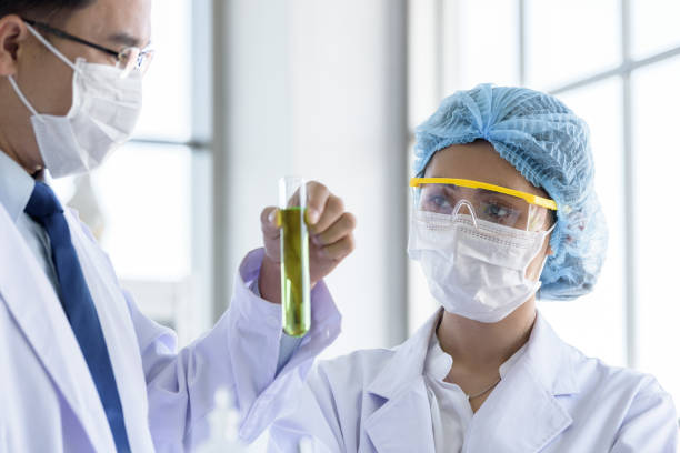 istock Asian young student scientist researching  and learning with senior scientist have teaching in a laboratory. 1137465584