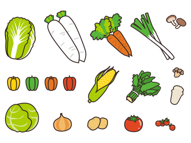 illustrazioni stock, clip art, cartoni animati e icone di tendenza di varie verdure deliziose - white background freshness spinach vegetable