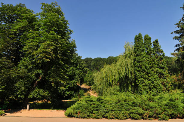 istock Sofiyivsky Park - Uman, Ukraine 1137468924