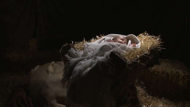 Baby Jesus in the Manger