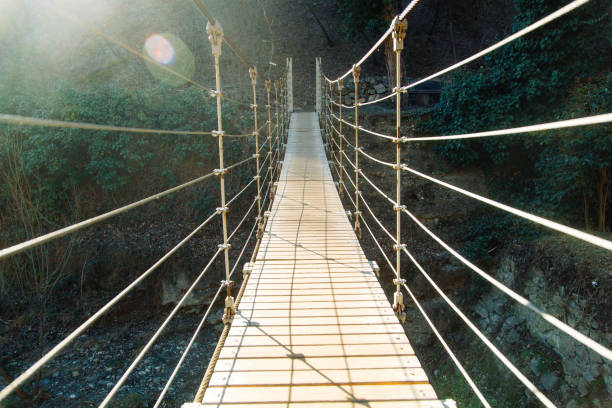 Hanging bridge in the jungle