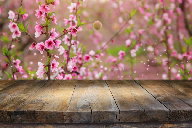 istock wooden table in front of spring blossom tree landscape. Product display and presentation 1137482068