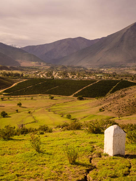 кактусы, горы и долины возле города викунья-викуна. долина эльки в чили - coquimbo region стоковые фото и изображения