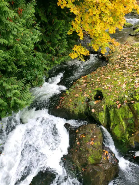 Photo of Tumwater Falls State Park, WA