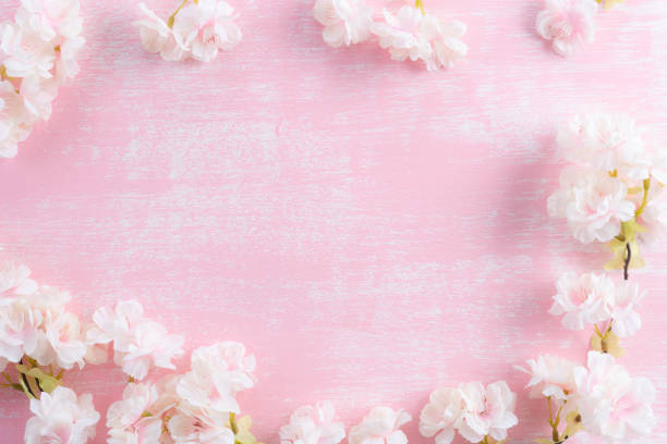 istock Spring background. Spring blooming branches on pink wooden background. Apple blossoms. 1137484451