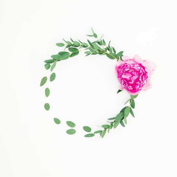 istock Floral round frame with pink peony flower, hypericum and eucalyptus on white background 1137486461