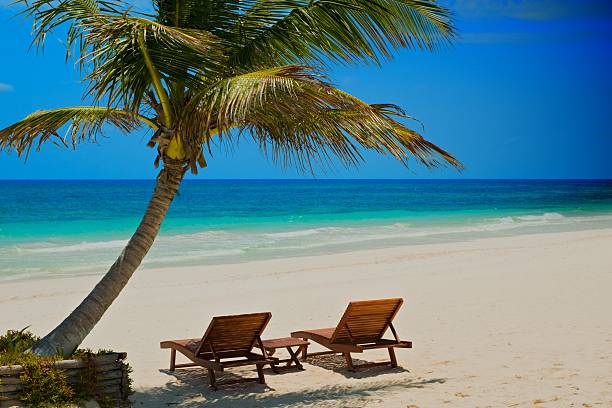 istock Palm beach chairs tropical sea 113748816