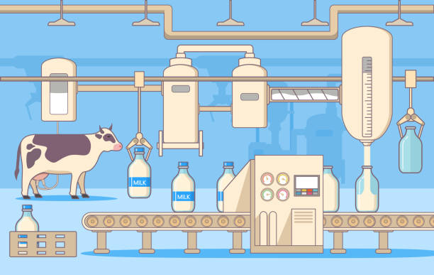 przetwórstwo fabryki mleka.taśma przenośnika mleka. maszyny automatyczne. pakuje butelki ze szkła. produkty mleczne etap przetwarzania opakowań napojów i butelkowania . - milk industry milk bottle factory stock illustrations