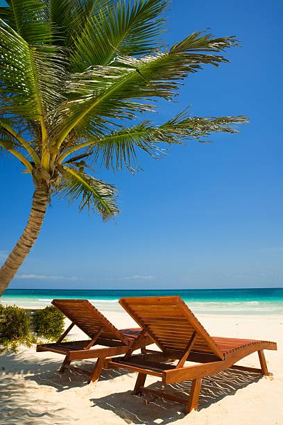 istock Palm beach chairs tropical sea 113748983