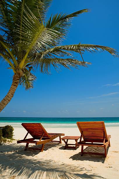 istock Palm beach chairs tropical sea 113748984