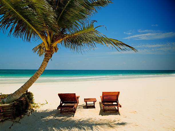 istock Palm beach chairs tropical sea 113748987