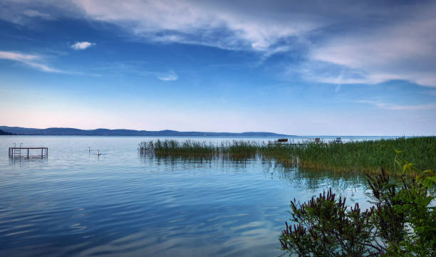 A tranquil scene at the Balaton lake, Hungary. Calm water, some green water grass, a few benches in the water, two swans, blue sky with some clouds, water reflections.