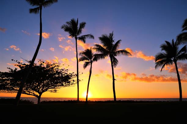 istock Sunset over the Pacific Ocean at Ko'Olina, Kapolei, Oahu, HI 1137493039