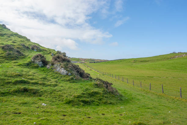 istock Connemara in Ireland 1137493610