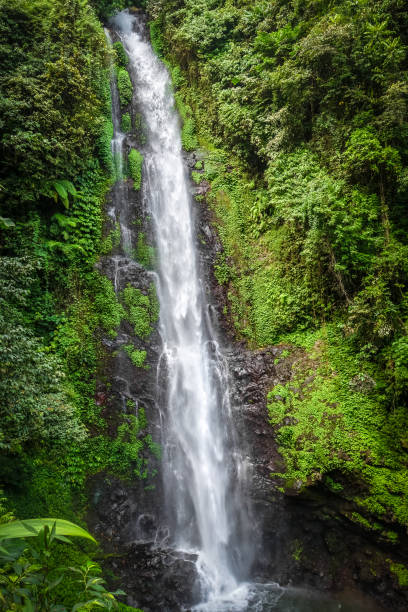 istock Melanting Waterfall, Munduk, Bali, Indonesia 1137493615
