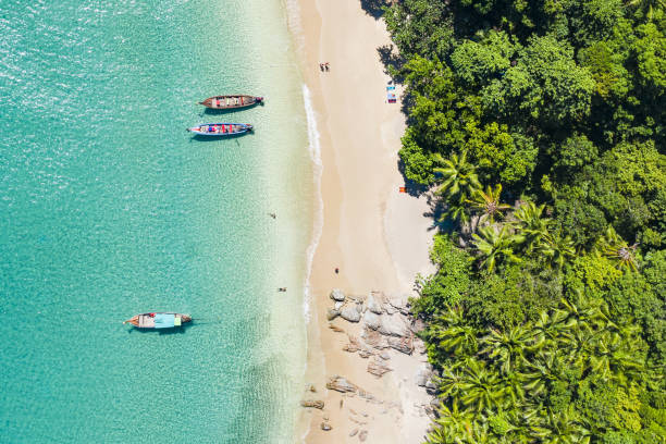 위에서 보기, 하얀 모래와 청록색 맑은 물, 긴 꼬리 보트와 사람들 일광욕, 바나나 비치, 푸 켓, 태국 아름 다운 열 대 해변의 공중 보기. - 4726 뉴스 사진 이미지