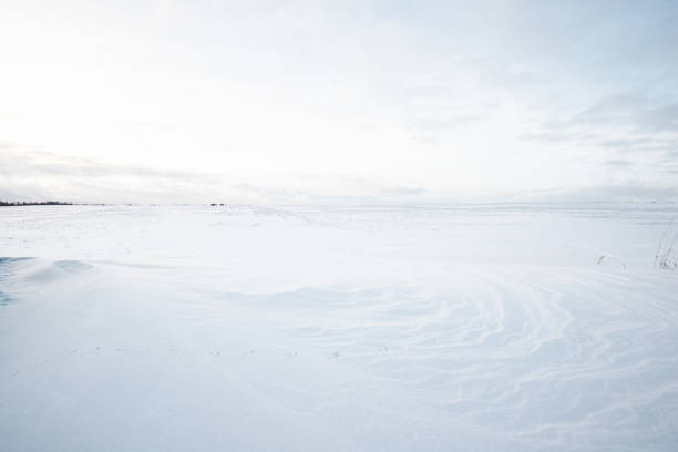 istock Panoramic view of the empty snow-covered country field at sunset. Evening clouds. Norway 1137509179