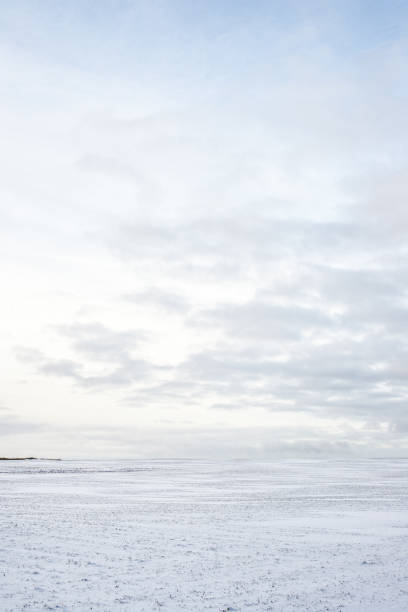 istock Panoramic view of the empty snow-covered country field at sunset. Evening clouds. Norway 1137509216