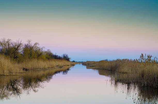 istock Wild evening river leading into the distance. 1137512747