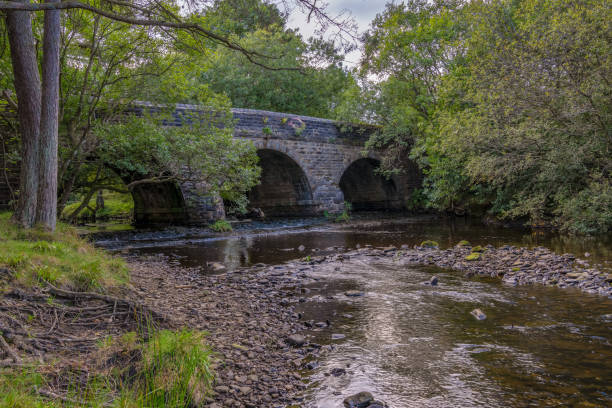 istock Bridge over the River Derwent, England, UK 1137513060