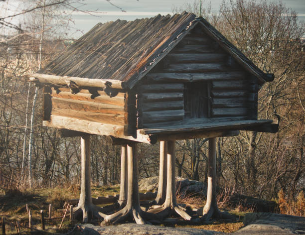 традиционная деревянная бревенчатая хижина на сваях в лесу - shed cottage hut barn стоковые фото и изображения