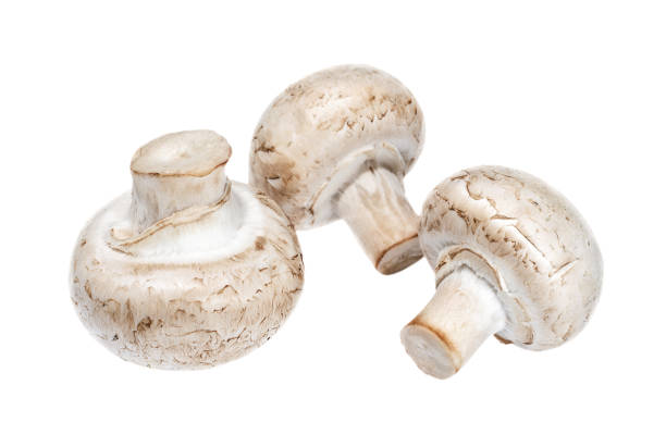 istock Champignon mushrooms on white background close up 1137518122