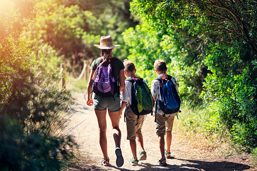 Kids hiking in forest in Spain, Majorca. Brothers and sister are walking on forest path.\nSunny summer day.\nNikon D850