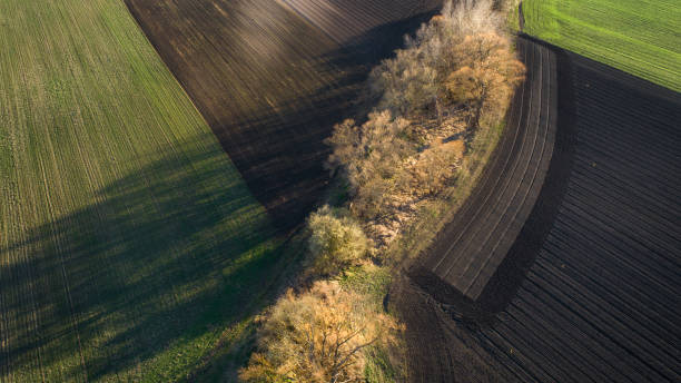 istock Agricultural field in early spring - aerial view 1137521219