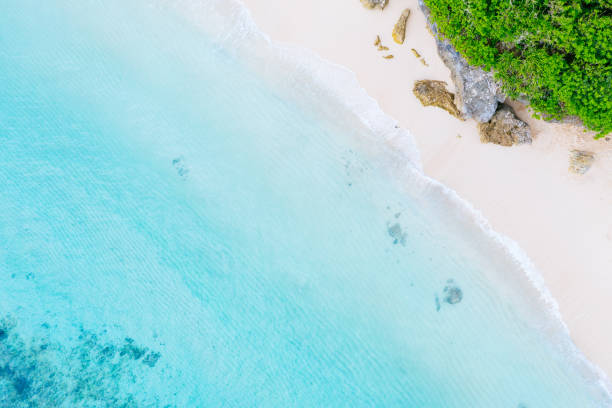 istock White sand beach on Bali. Beach scene from above - blue ocean and cliffs, covered with green plants. Aerial drone shot. 1137524913