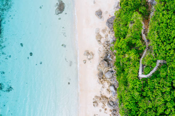 istock White sand beach on Bali. Beach scene from above - blue ocean and cliffs, covered with green plants. Aerial drone shot. 1137524919