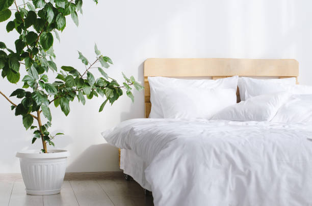 istock Bedroom interior with bed and big indor flower 1137528424