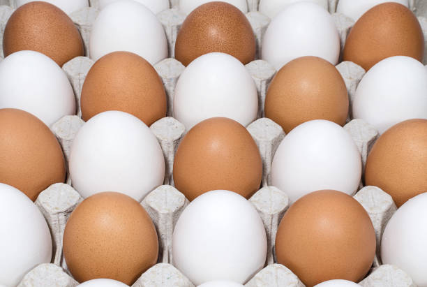 Brown and white chicken eggs in a tray