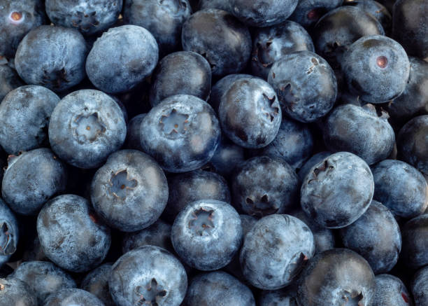 istock Background of healthy blueberries macro 1137529911